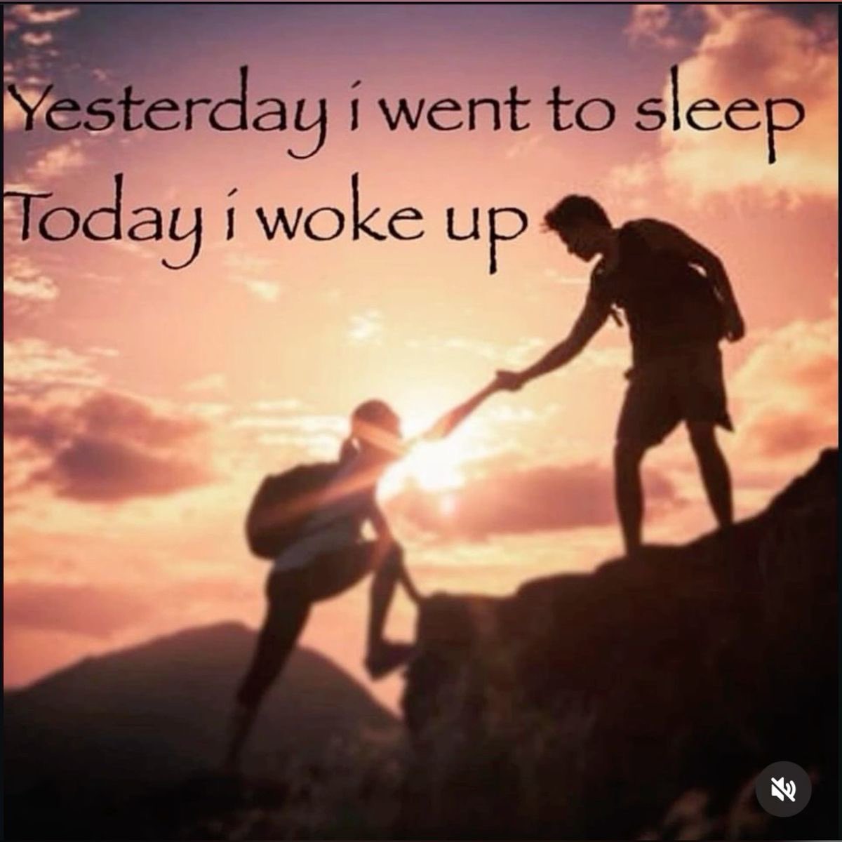 flan 🎼 tweet media