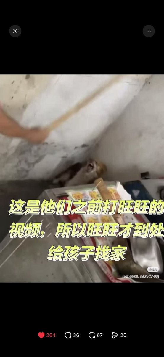 wangwang tweet media