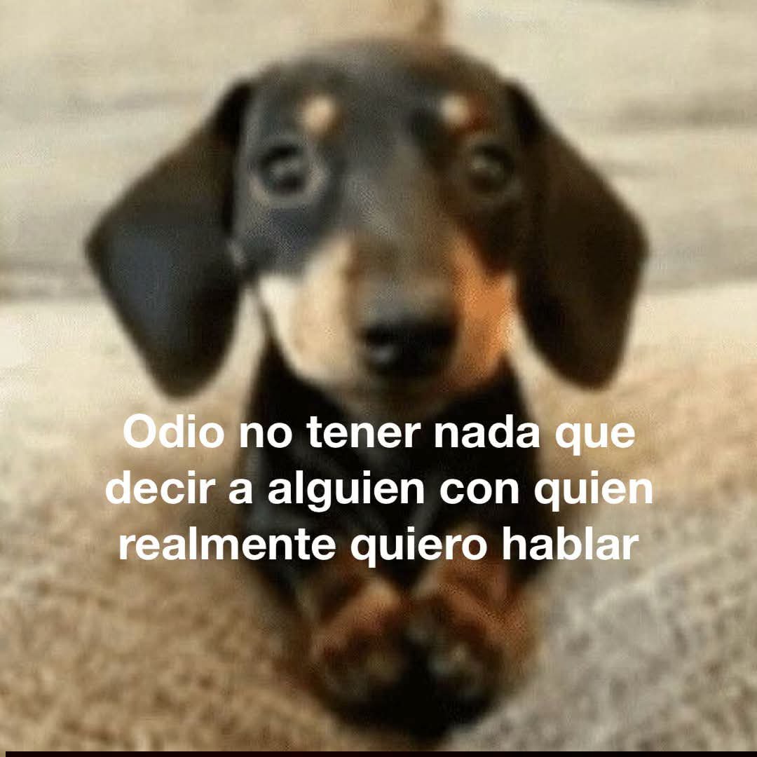 ekkanss's tweet photo. https://t.co/MGJ7ZeVobG