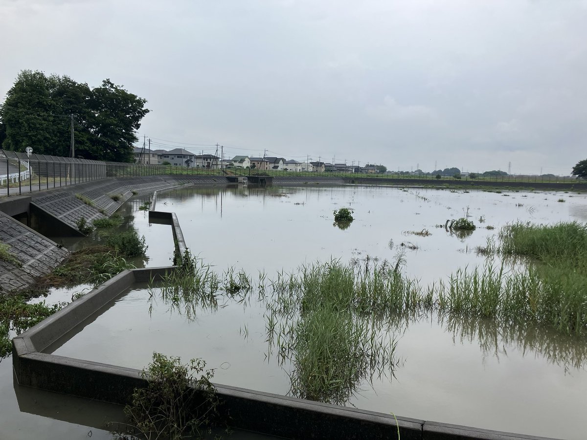 dam_RN23N's tweet photo. 昨日の豪雨のせいで太田市内で水没してるところが結構あるみたいですね。
利根川の支流もかなり増水してますね。
早川の防災調整池に水が入ってるとこも初めて見ました。
#太田市冠水 https://t.co/bJy32uIqta