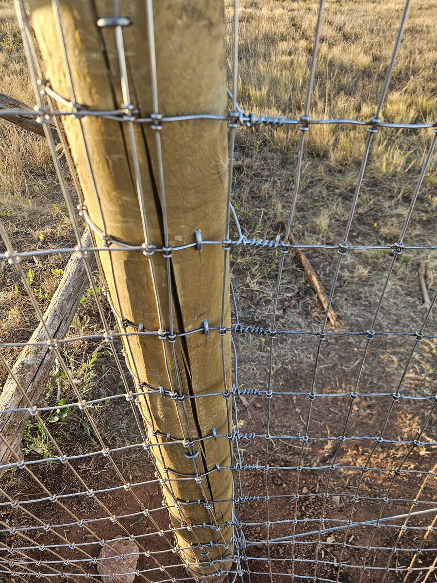 LPFirearms's tweet photo. Everyone wants to be Rip, until it's time to fix a fence. https://t.co/f8iSoTLQAg