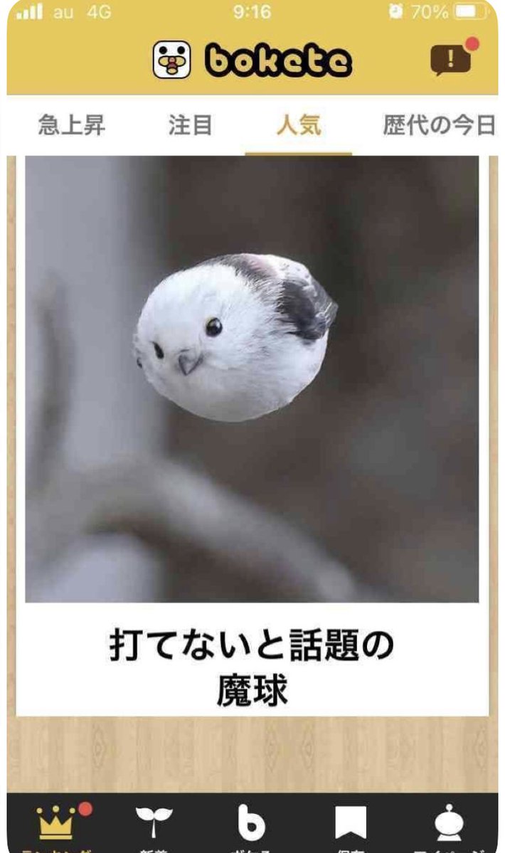 dain_fujioka's tweet photo. サ終寂しい😭動物シリーズのMy Bestです✨ https://t.co/mcvJnqKJy2