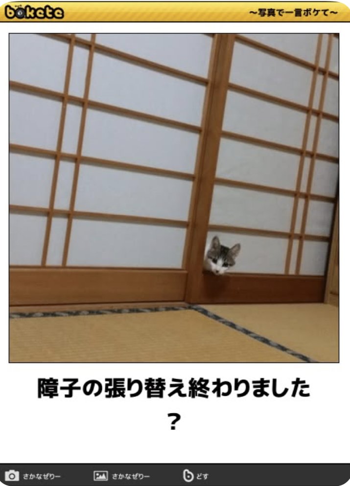 dain_fujioka's tweet photo. サ終寂しい😭動物シリーズのMy Bestです✨ https://t.co/mcvJnqKJy2