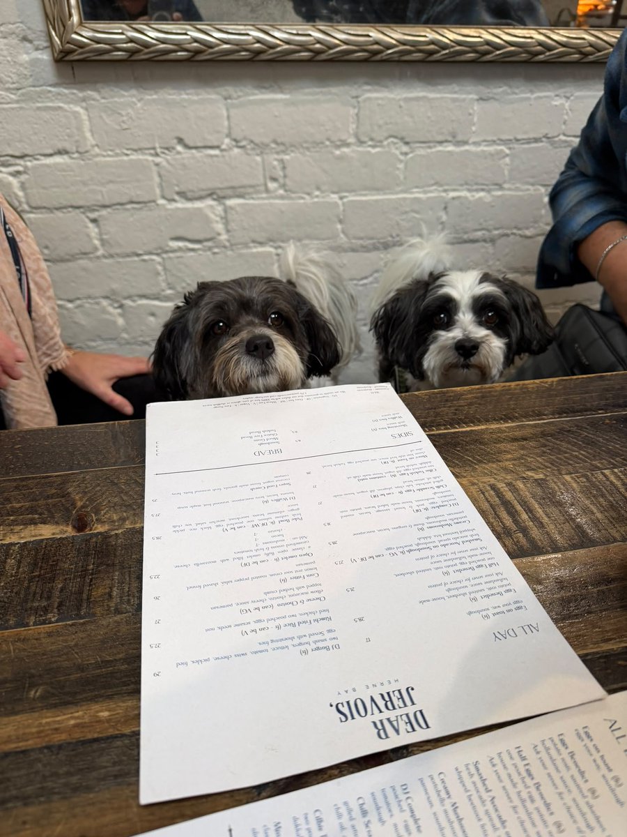 WebTaniwha's tweet photo. Perfect start to the weekend! Brunch &amp; coffee with my favourite girls at Dear Jervois ❤️ #dogfriendly #AucklandNZ https://t.co/5AuphD5XYW