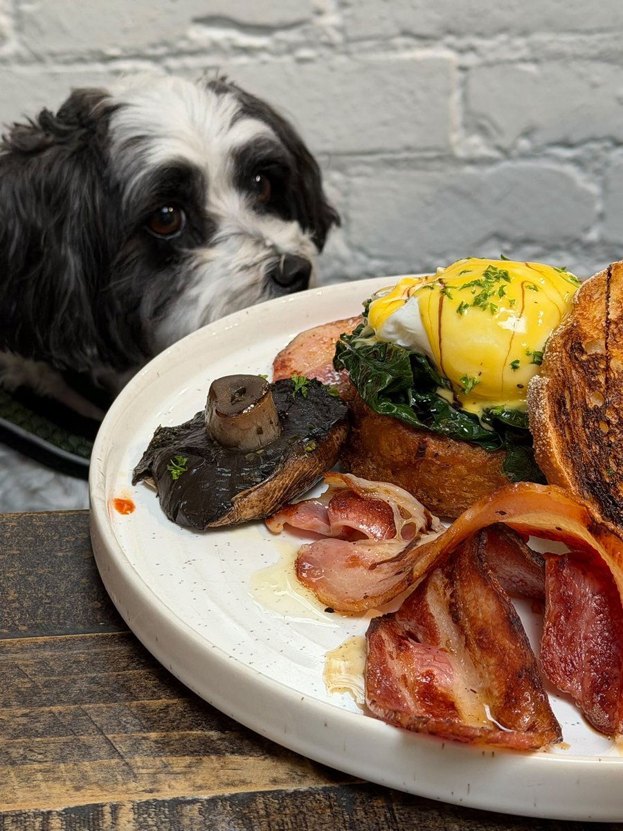 WebTaniwha's tweet photo. Perfect start to the weekend! Brunch &amp; coffee with my favourite girls at Dear Jervois ❤️ #dogfriendly #AucklandNZ https://t.co/5AuphD5XYW