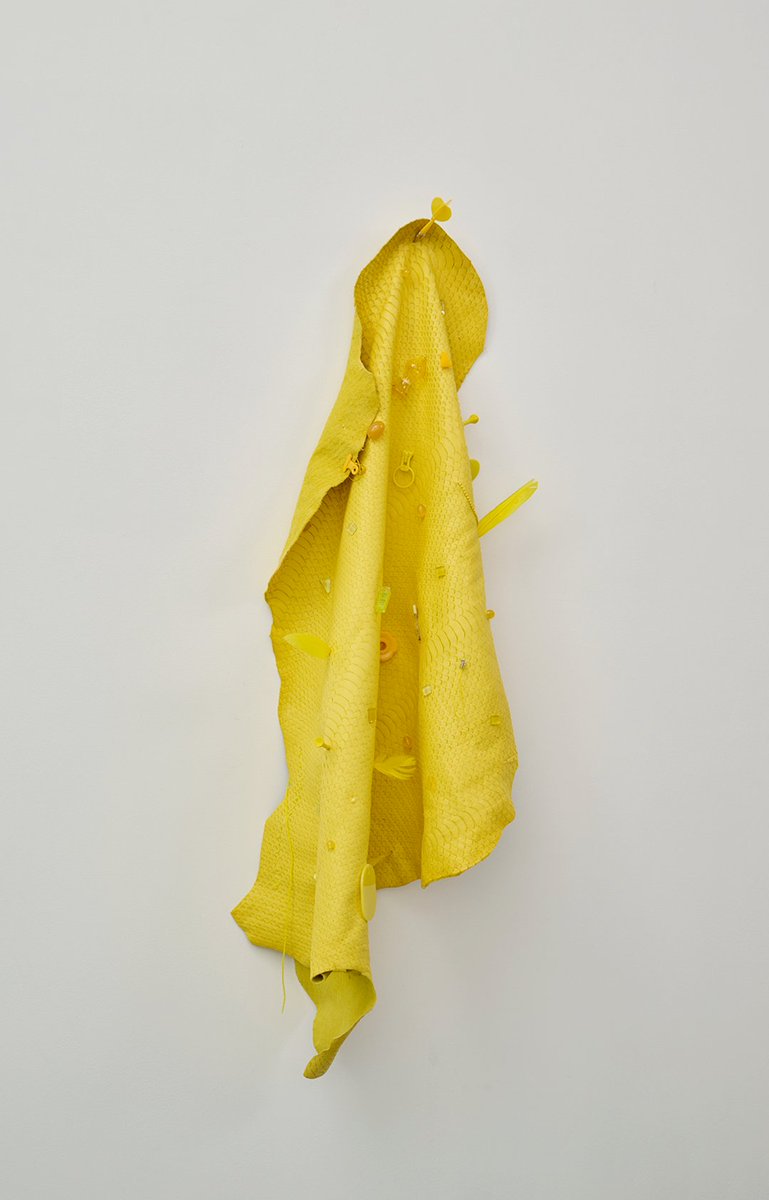 lokogallery's tweet photo. 作家在廊予定】

7月24日（金）16:00頃〜18:00
7月25日（土）13:30頃〜18:00
8月6日（木）
8月7日（金）
8月8日（土）

荒木由香里 個展「惑星、山羊や羽のように佇み」 
2026.07.10 Fri. - 2026.08.08 Sat.   
https://t.co/Nf8TLLiAFb https://t.co/hp2ltpUSPv
