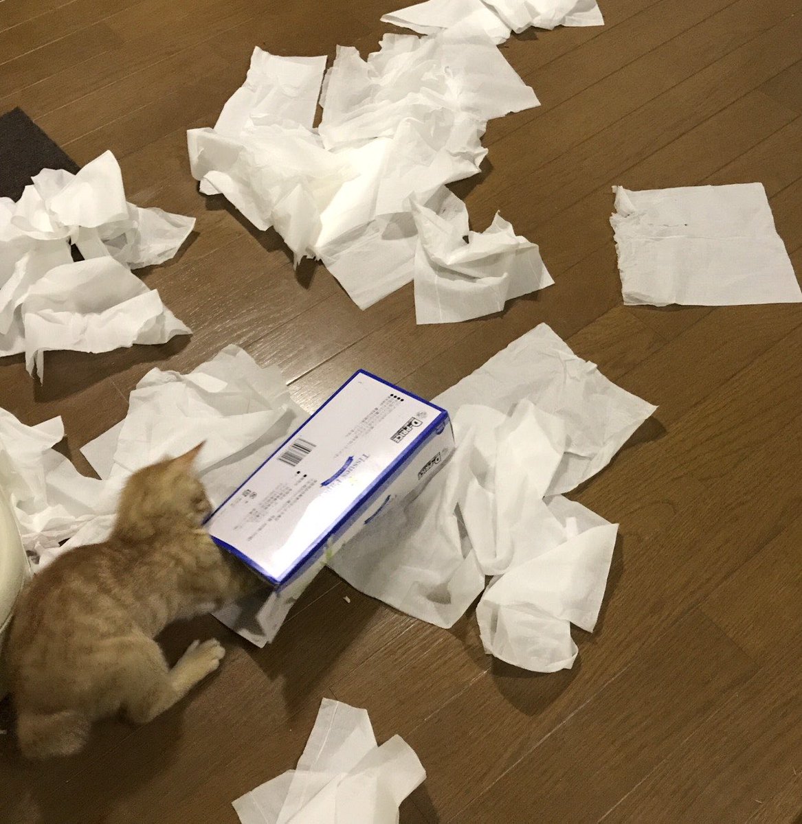 yuucbr_330's tweet photo. 何回ものせてるけど現行犯過ぎてほんま好き https://t.co/daFM9fOijQ