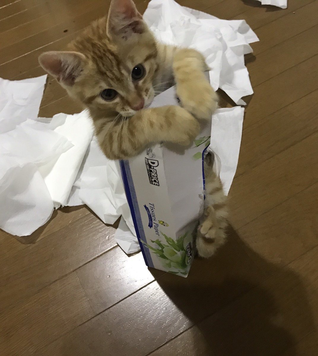 yuucbr_330's tweet photo. 何回ものせてるけど現行犯過ぎてほんま好き https://t.co/daFM9fOijQ