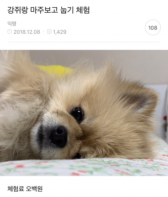 WkfxjfrP's tweet photo. https://t.co/HnJVSlGdvK
