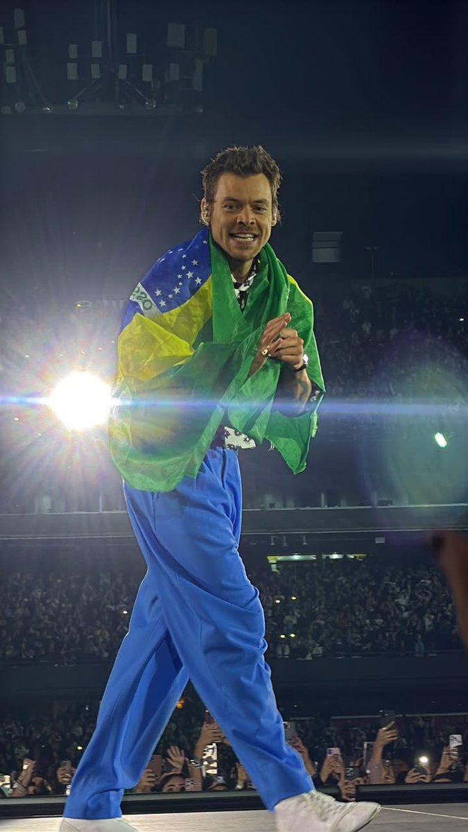 Harry Styles Brasil tweet media
