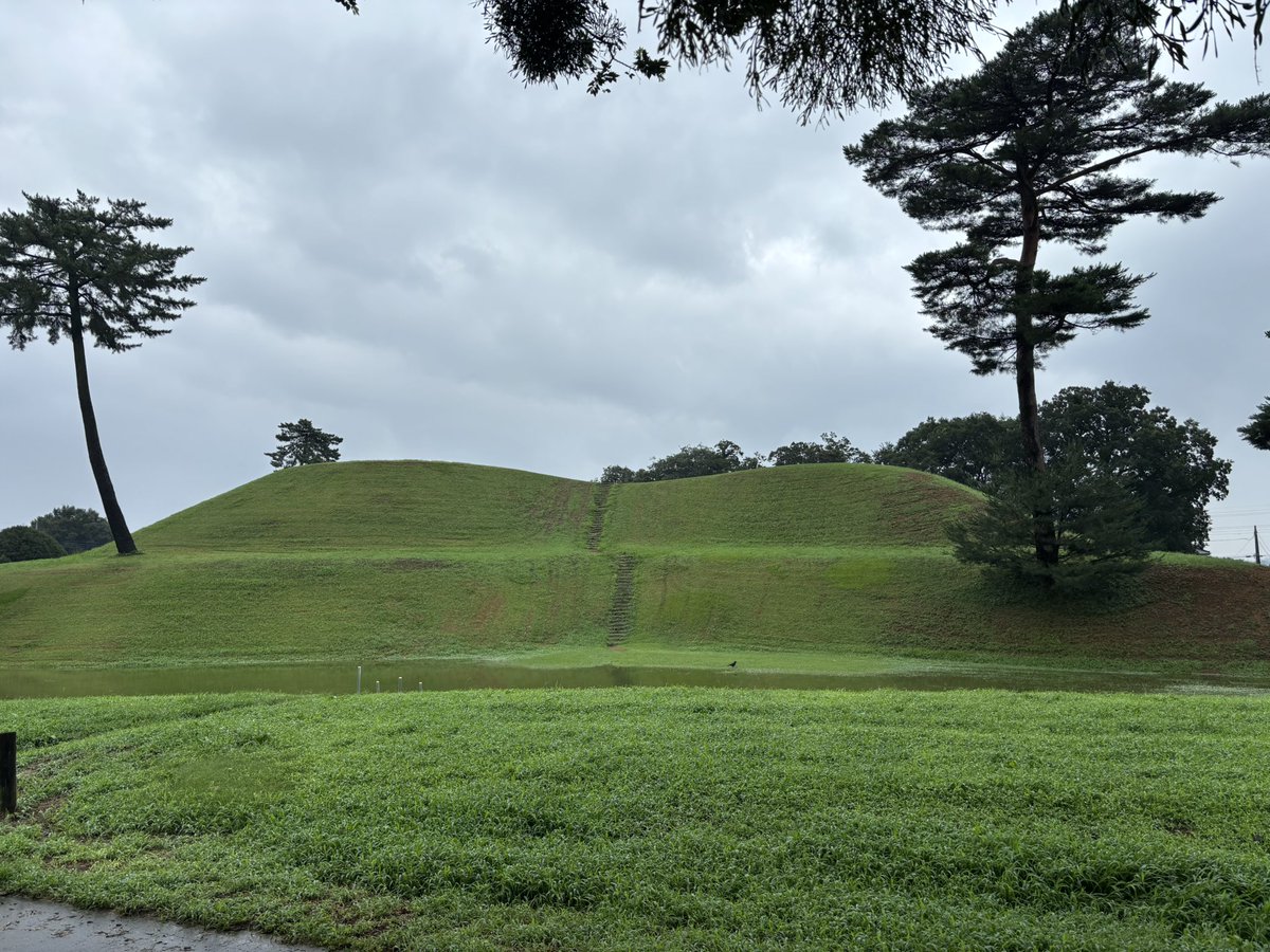 galm2fox2's tweet photo. 大室古墳群（前橋市）の「前二子古墳」。狭くて長い石室はまるで「黄泉の国」への入り口。感動した！
周堀が雨で水堀と化して墳丘に登れない💦 https://t.co/lRixp30GXV