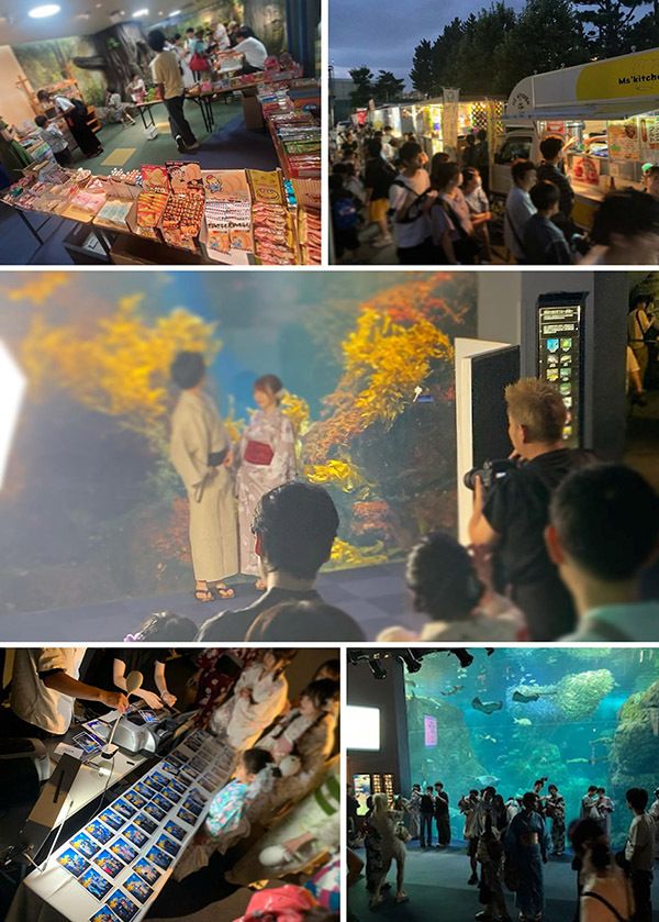 追加開催決定🏮 えのすい夜市 🗓️8月29日(土) 18:45～21:30 縁日や