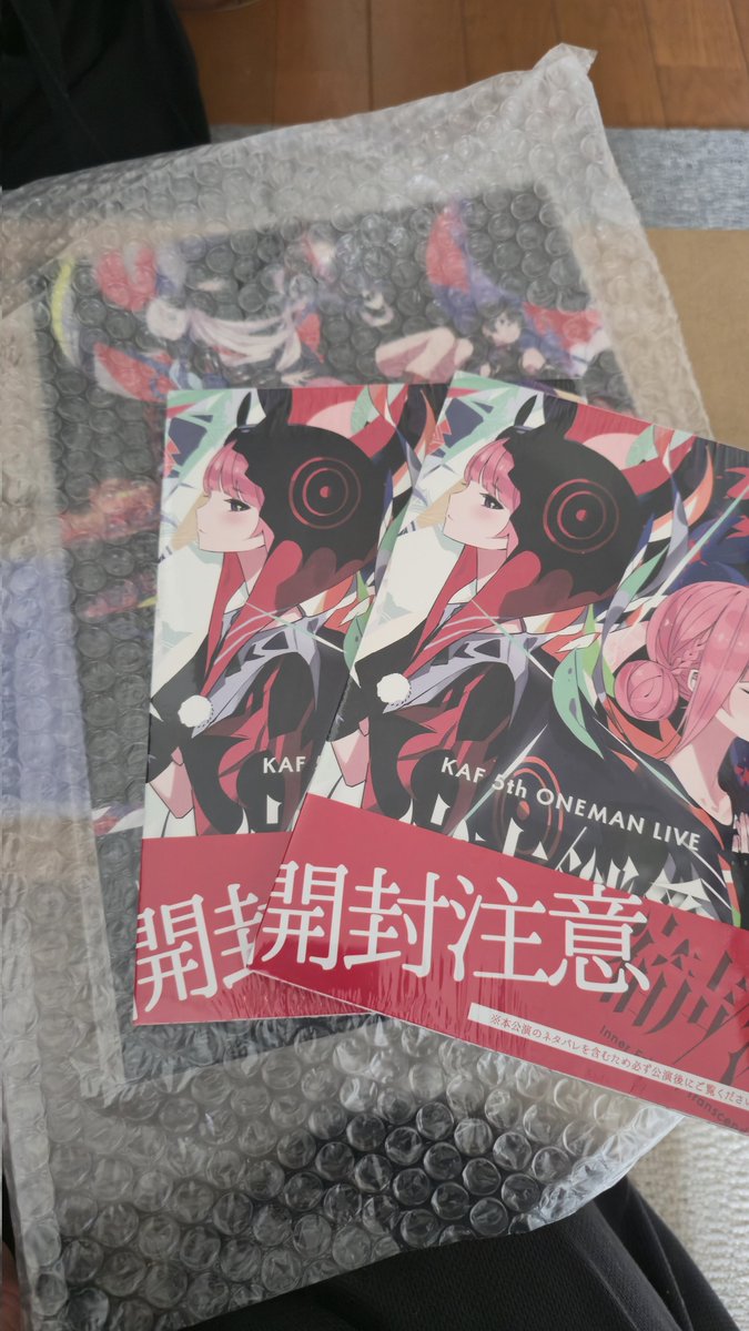 Kaiduka02k's tweet photo. 何届いたんだ？って開けてみたら修正パンフだったんだけど…

なんで片方2冊あるんだ？？？ https://t.co/DDy5Q4bKfF