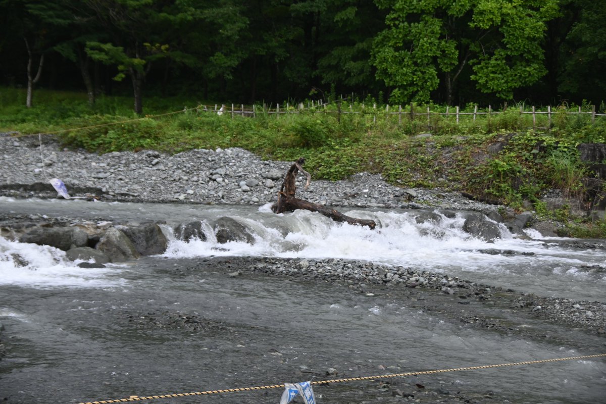 HadanoVC's tweet photo. 8時40分の気温24.5度　曇り時々雨
曇り空で時々雨がパラついています。秦野戸川公園内を流れる #水無川 は増水し、かなり流れが速くなっています。#塔ノ岳 周辺は未明にかけて、かなり雨が降ったようで、吊り橋の下には大きな枯れ木が流れ着いていました。#三ノ塔 や #鍋割山稜 は雲の中です。 https://t.co/Ec5RhiUchN