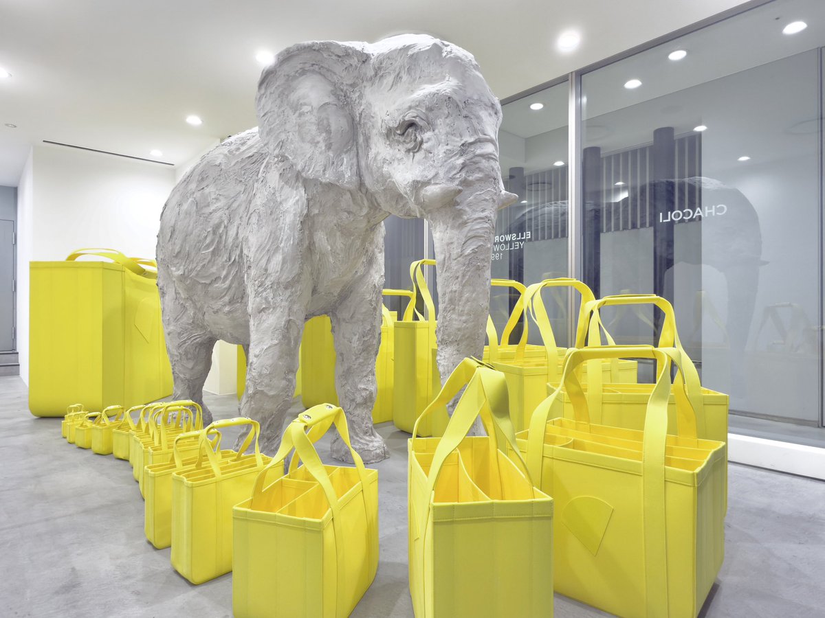 DSMGINZACDG's tweet photo. Chacoli × Ellsworth kelly “Frame Collection” Special installation has arrived at Dover Street Market Ginza 1F Elephant Space.

#doverstreetmarketginza
#chacoli https://t.co/Hh7fkvQWZ4