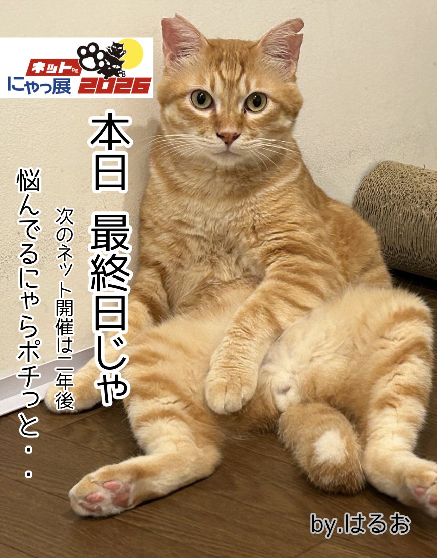 にゃん汰さま専用ページ ネットdeにゃっ展+にゃん太通販+にゃんにゃんBOX+猫十字 (@nyantashop