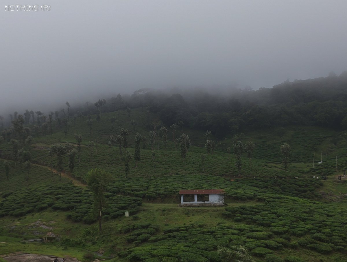 jithin2311's tweet photo. Not every great landscape needs a flagship. 🌿✨
These random landscapes from Nelliyampathy were captured on the Nothing Phone (4b). Swipe through and wait till the last shot—it's worth it. 📸🍃
@nothing @nothingindia @getpeid @AkisEvangelidis
#phone4b https://t.co/28OjjBNVOg