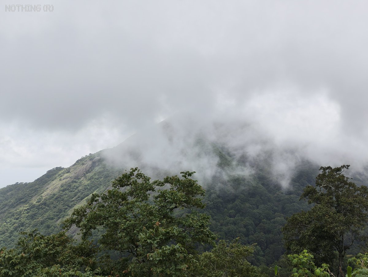 jithin2311's tweet photo. Not every great landscape needs a flagship. 🌿✨
These random landscapes from Nelliyampathy were captured on the Nothing Phone (4b). Swipe through and wait till the last shot—it's worth it. 📸🍃
@nothing @nothingindia @getpeid @AkisEvangelidis
#phone4b https://t.co/28OjjBNVOg