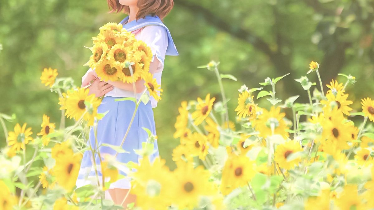 時雨_saber📷 (@spsy1996) / Posts / X