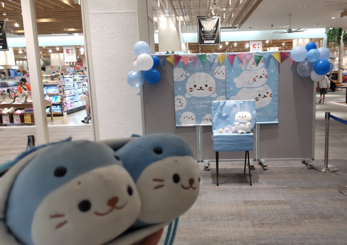mugyutoro's tweet photo. なんかありますのこ～🎵 https://t.co/ihdiXnzBSG