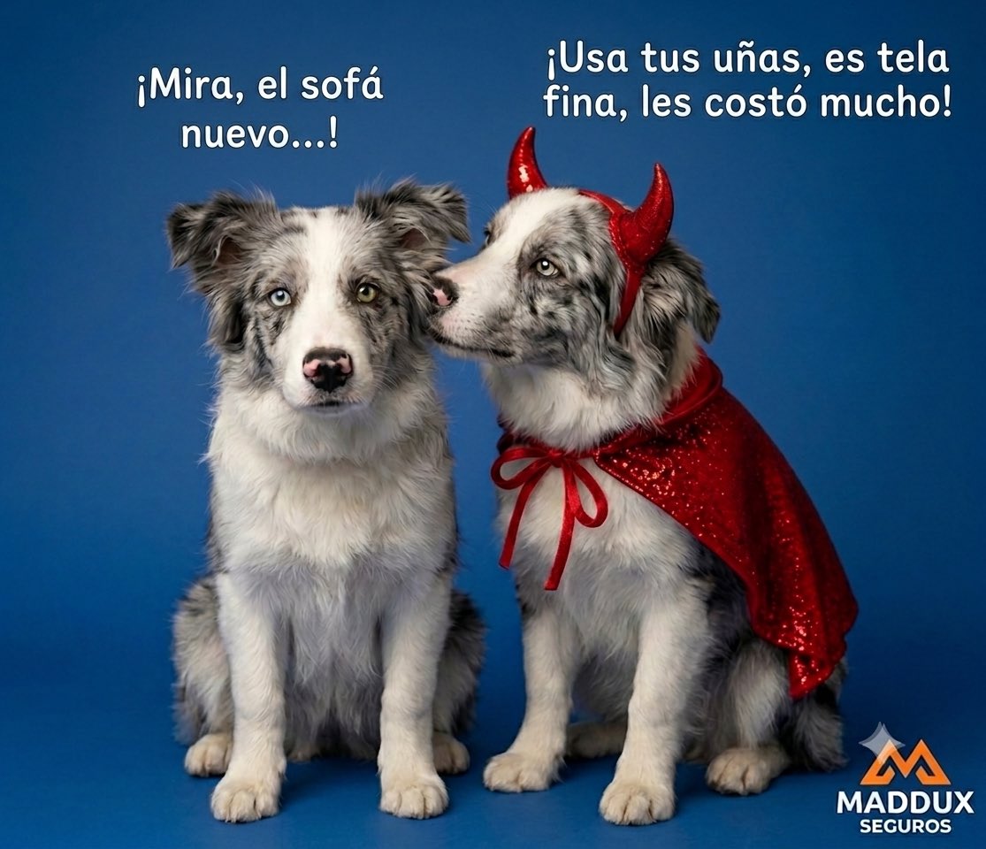 MadduxSeguros's tweet photo. "¿Crees que tu mejor amigo es un ángel? 
Piensa otra vez. 
¡Mejor asegúralo con GNP y prepárate para cualquier travesura que se le ocurra! 
#GNP #SeguroDeMascotas #MadduxSeguros https://t.co/Hegw6kYLBW