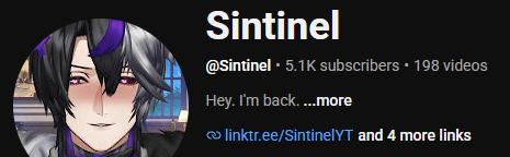 Sintinel tweet media
