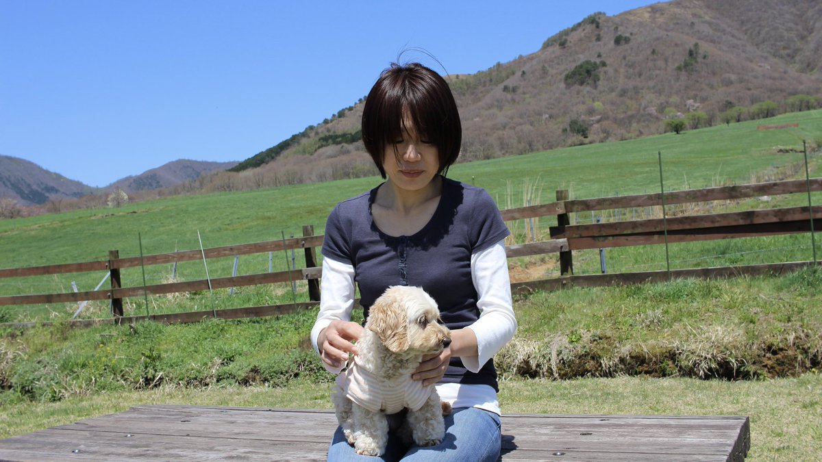 puripapa's tweet photo. 蒜山高原に立ち寄って帰りまする。
こちらも10年ぶり。 https://t.co/nTD791LNJN