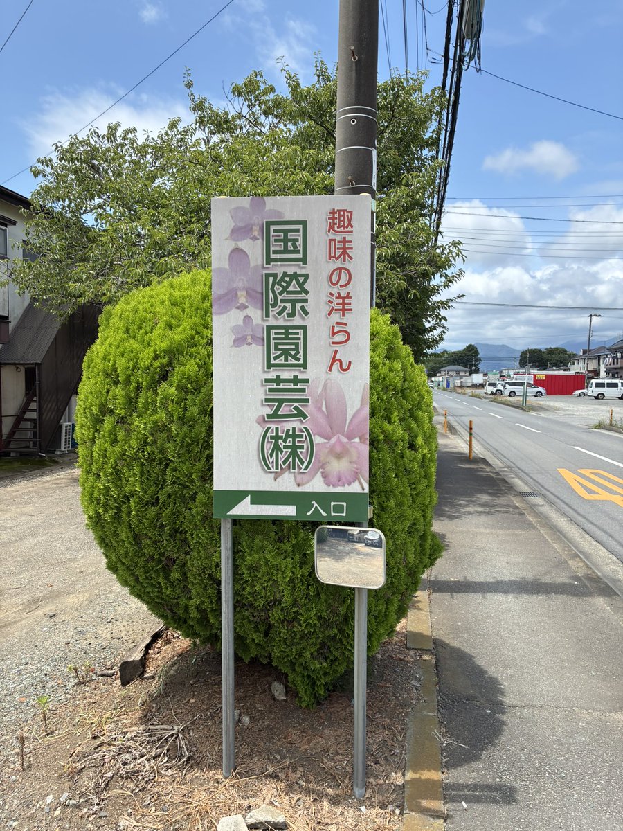 philo_den_dron1's tweet photo. という訳で弾丸旅行2日目、今日は国際園芸＆湘南アウトレット、その後は箱根でポーラ美術館と行けたら彫刻の森巡ってきます〜✌️
という訳で国際園芸、待ってたぜこの“瞬間”をよぉ… https://t.co/VXotrv95ZZ