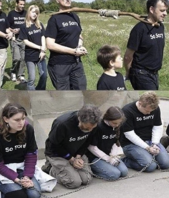 Anti Woke Memes tweet media