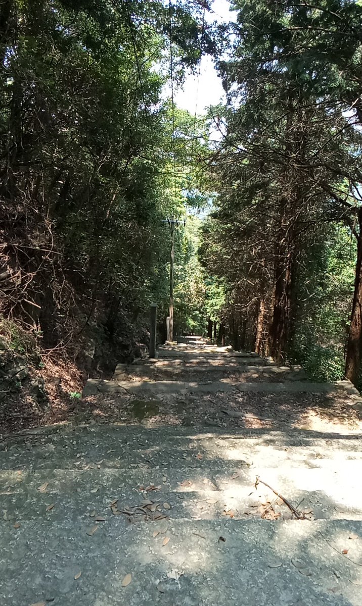 borun59's tweet photo. 白峯寺行く途中です。
天皇寺の方から登るルート、看板はあっても全然着かない。
いま石段10段くらい登って休むを繰り返してます。
今回の香川まわりも挫折で終わりそうです泣 https://t.co/zGuXiPzilW