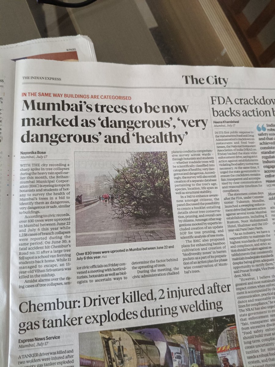 ramkid's tweet photo. How ironic is it that it's the trees that get labelled dangerous? https://t.co/iz5US97Ctc