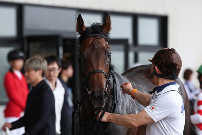 gallop_keiba's tweet photo. 函館1R、芝1800mの2歳未勝利戦は1番人気 #ロジクラウン が勝利！ 新馬戦ではジーティーサクラに敗れましたが、単勝1.2倍の人気に応えました！
父はサトノクラウン。姉に昨年の小倉牝馬Sを同着で勝ったシンティレーションがいます。 https://t.co/Z4G0tQzCwu