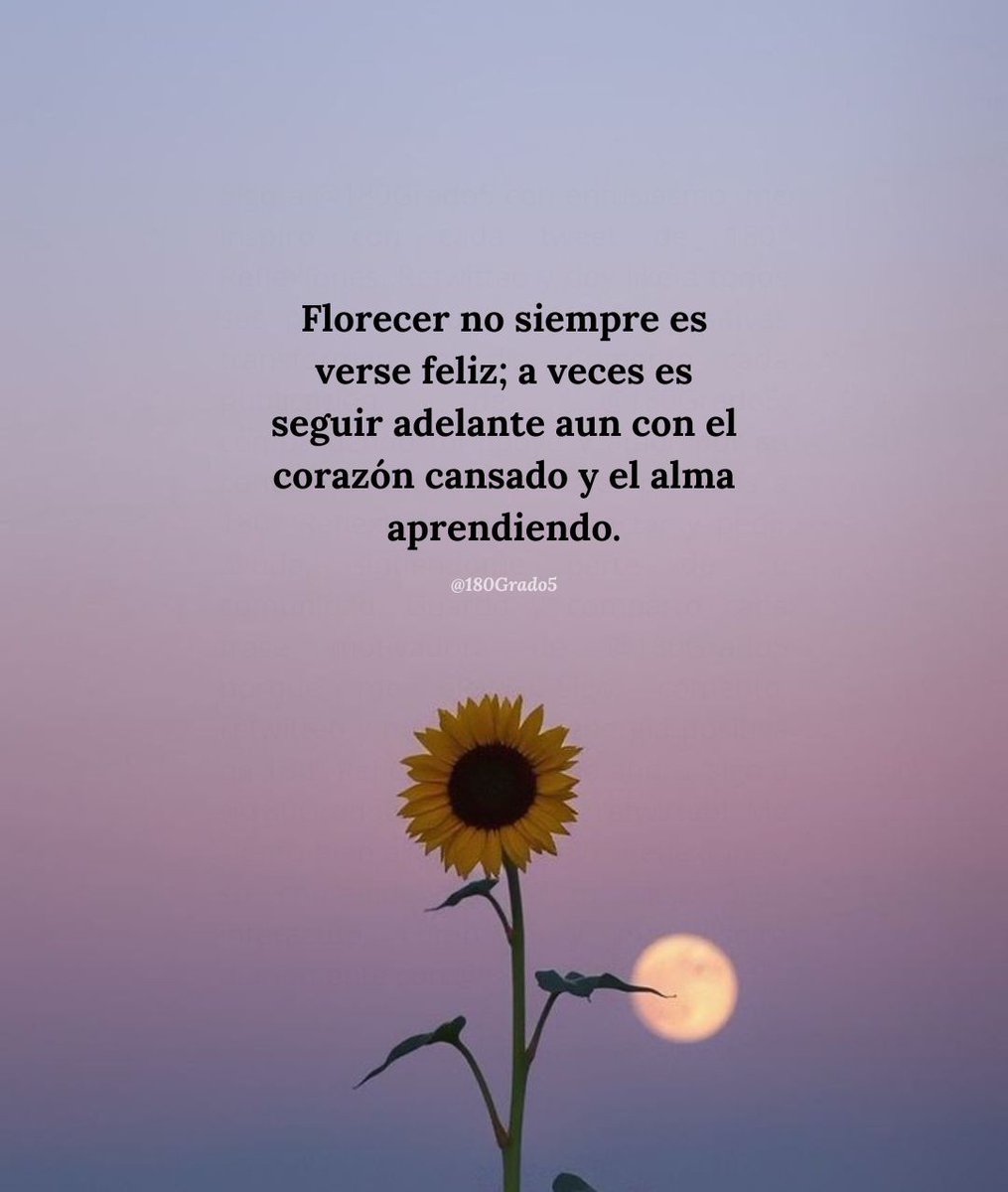 180Grado5's tweet photo. ✨🌷🌻🌺 https://t.co/puWHpc8euy