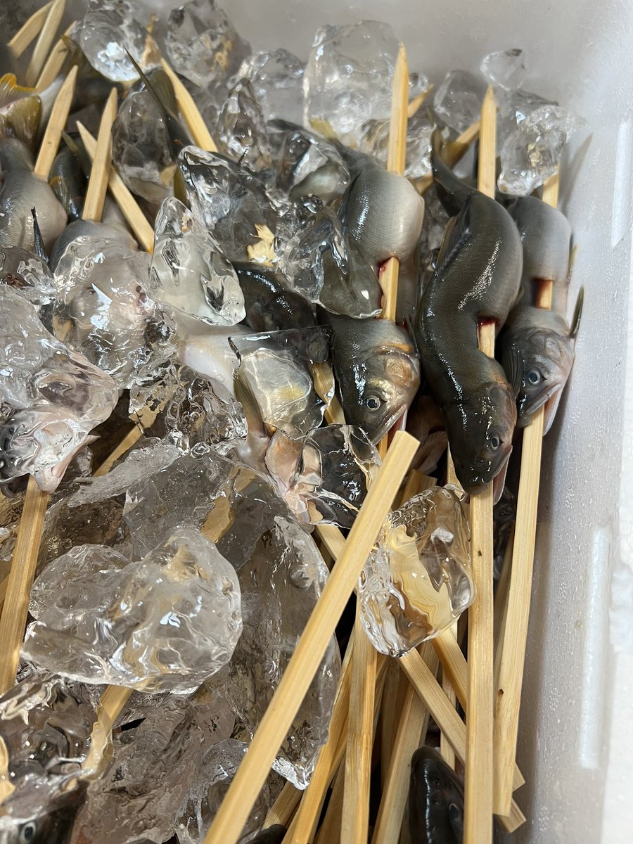 T4lsN28unCbvgEh's tweet photo. 今日は地域のお祭りです(*^^*)例年通り、焼きますw梅雨時期でなかなか出来るタイミングが少ない中、キャロさんに魚のご協力を頂き、なんとか300揃えましたε-(´∀｀*)ホッ全部、売り切れるように頑張ります(*´︶`*)ﾉ(*´︶`*)ﾉ
 #宮崎工房
 #鮎釣り https://t.co/AdRQ1vEouF