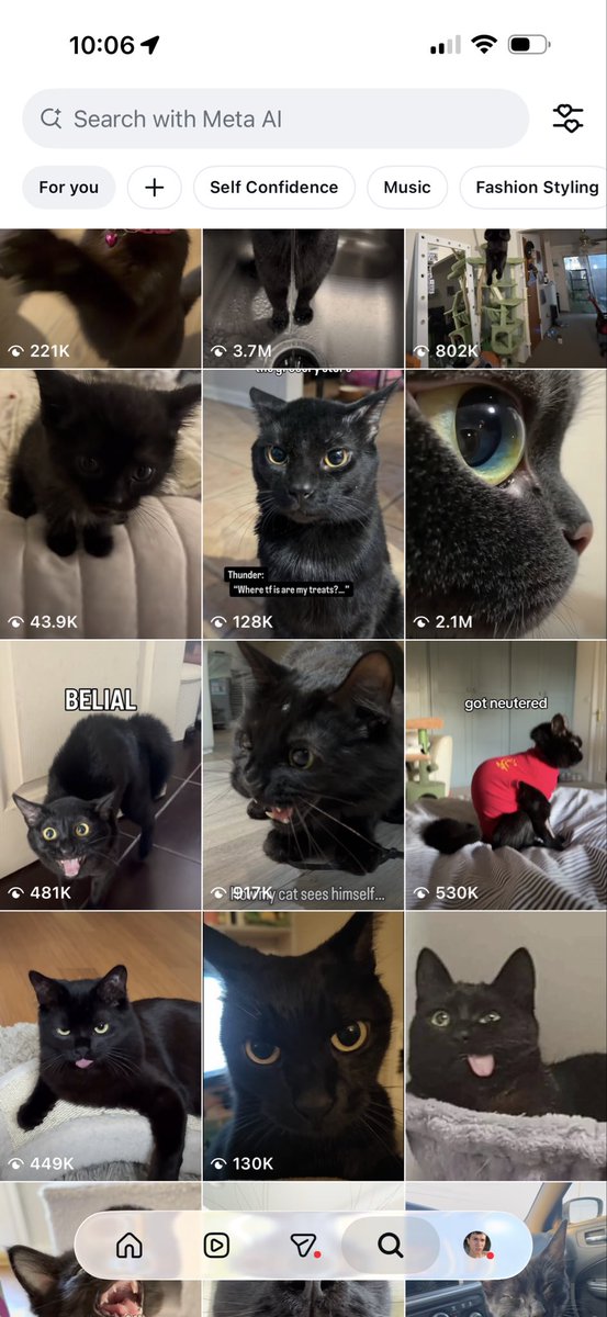cesvr is cutieful ! tweet media