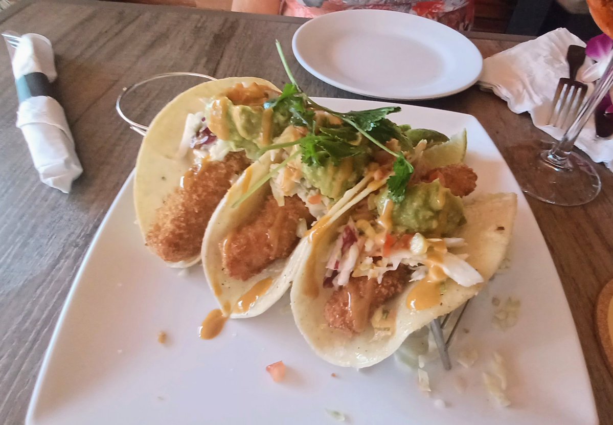 rukiddingme3590's tweet photo. Noelani's Island Grill did not disappoint.👍🌮🐟🍖 #SpamMusubi #fishtacos  #Hawaiianshortribs https://t.co/6Se8YKUzOJ