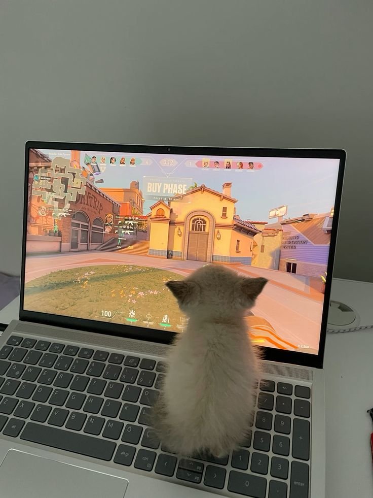 Gabybntp's tweet photo. Jogando vava hoje, todo meu time saiu e sobrou só eu e mais 2, ganhamos do time inimigo (5 pessoas).
 Sou o mais proplayer https://t.co/AUKq9RDPvq