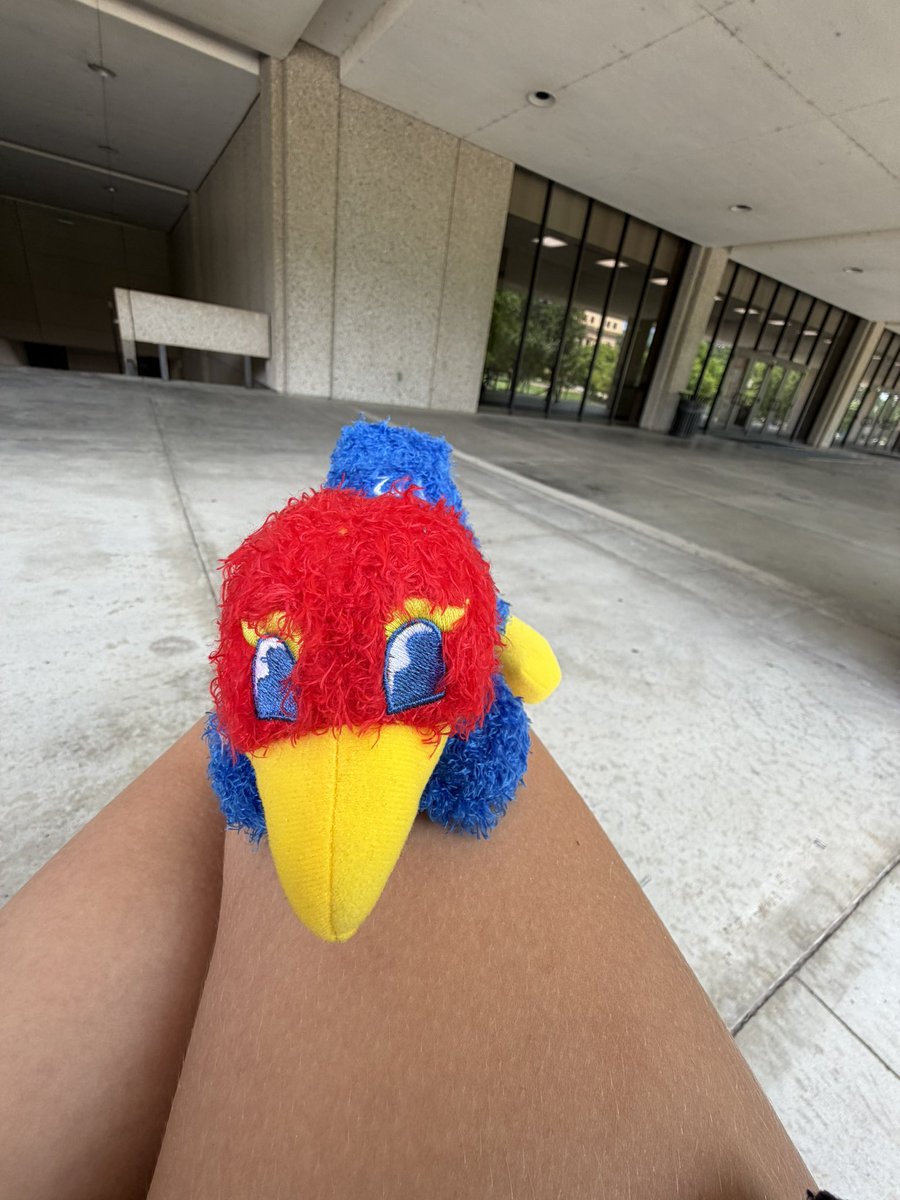 Strawthgenda's tweet photo. Side note I’m officially a Jayhawk #rockchalk https://t.co/VoswrnuBEj