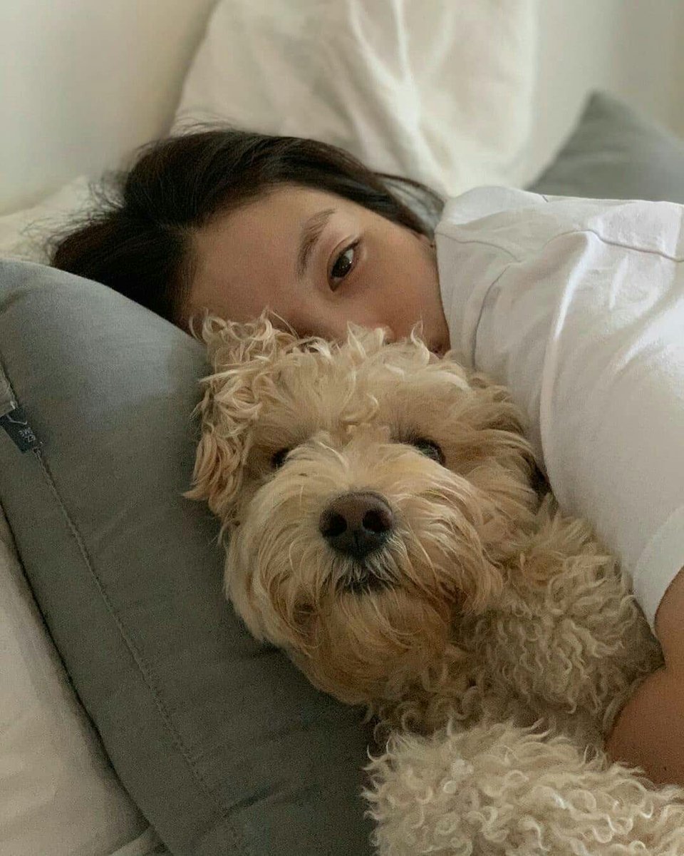DEMlKlM's tweet photo. Saturday snuggles. Hope your day is as peaceful and lovely as this. Have a delightful saturday, everyone! https://t.co/m6jjOHbxpC
