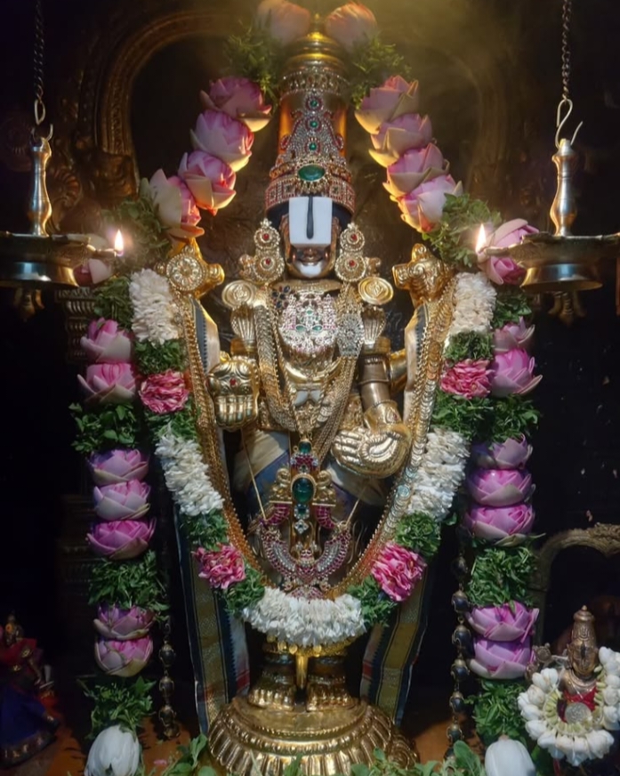 Tirupati Tirumala Info tweet media