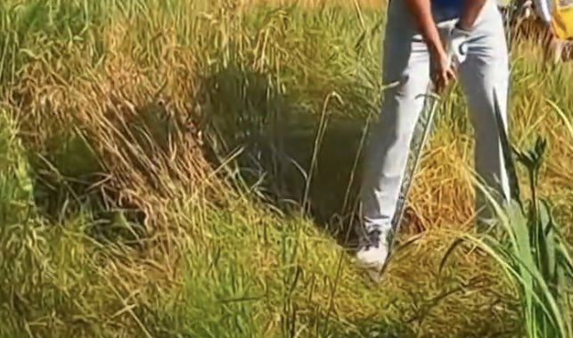 DKputts's tweet photo. @sscottpga Grass doesn’t grow sideways https://t.co/reQdPdprgg