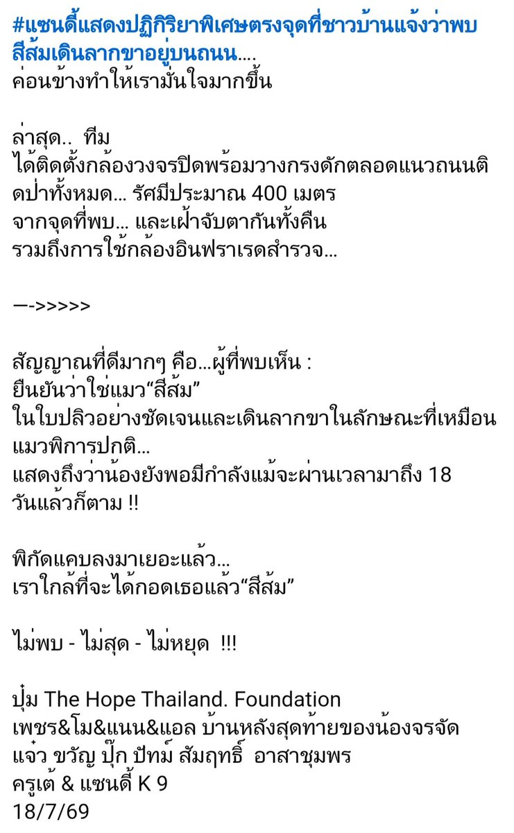 TarotYouuuu's tweet photo. ทุกคนครับ ข่าวดีมาแล้ว มีคนพบเจอแมวพิการ เดินลากขาห่างไป 200 เมตร จากจุดที่สำรวจล่าสุด ทีมงานพี่ปุ๋มกับคุณแม่ ออกตามหากันแล้ว ขอให้เป็นเรื่องจริง พบเจอน้องสีส้มสำเร็จด้วยนะครับ !!!!!!

#แมวหาย 
#แมวหายบนรถไฟ https://t.co/nSr3PattYi