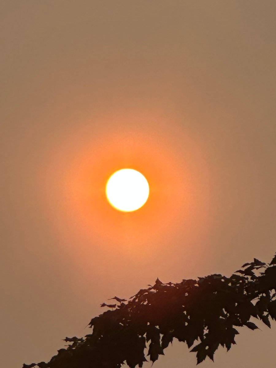 DottieHerman's tweet photo. Fellow New Yorkers,

The smoke from the Canadian wildfires is creating dangerous air quality across our region. Even if the sky looks a little clearer, the air can still be unhealthy to breathe.

Please protect yourself:

Stay indoors whenever possible.
Keep windows closed and run an air purifier or your A/C on recirculate.
Wear an N95 or KN95 mask if you must be outside.

Most importantly, please check on elderly neighbors, family members, and anyone with asthma, COPD, or other lung or heart conditions. They are especially vulnerable to poor air quality.

Let's look out for one another. Stay safe, New York.

#dottieherman #newyorkcity #airquality
