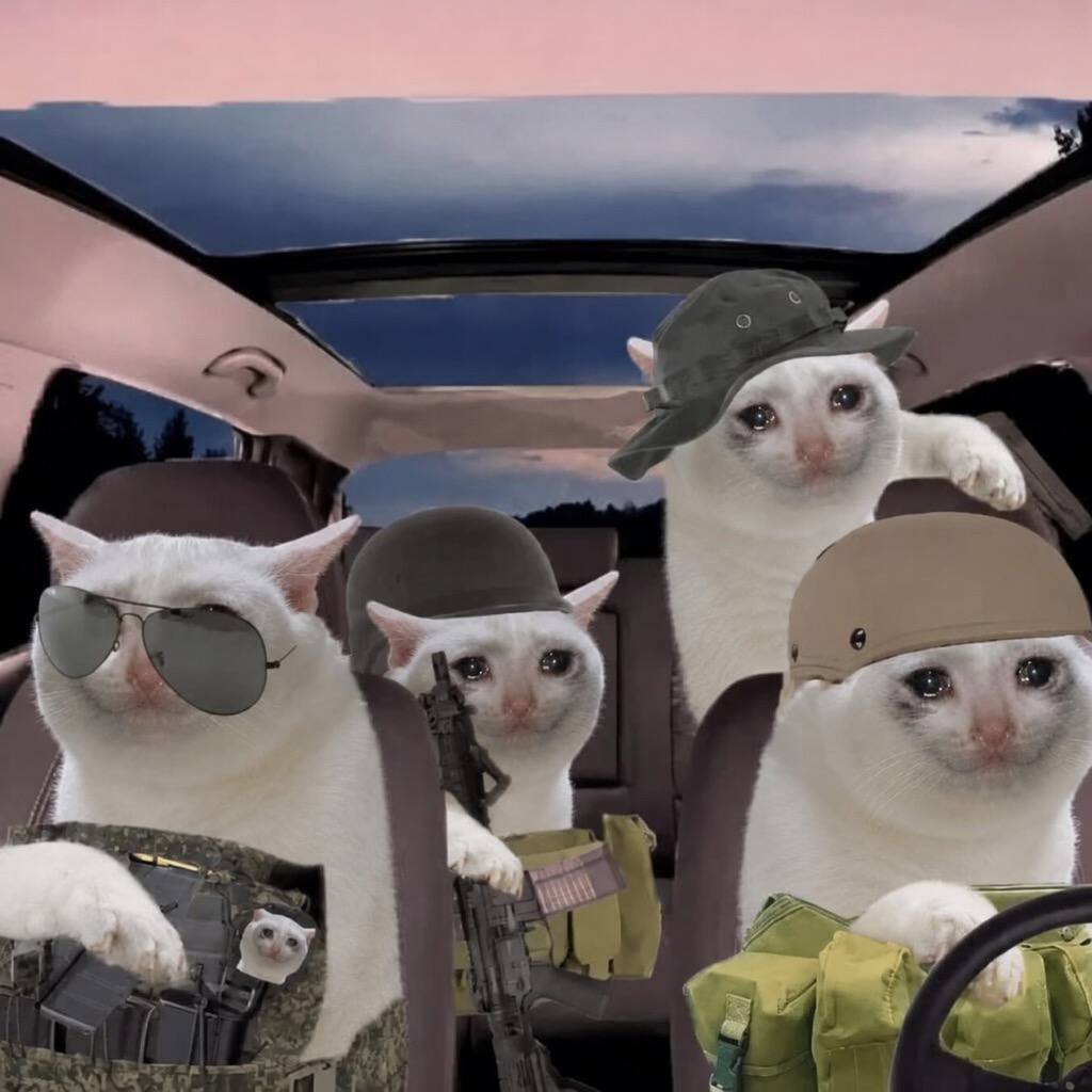CryingCat_Token's tweet photo. The boys said it was a quick mission.

Now we’re all crying in the getaway car and nobody remembers where we parked the liquidity. 

😿😿😿😿 https://t.co/YmRAKZVjvg