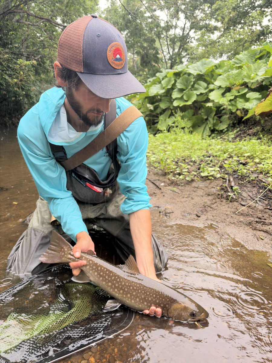 hfs_doto's tweet photo. 北海道釣りガイド🎣
Fishing wild rivers in Hokkaido, Japan 🎣🇯🇵
Beautiful scenery, powerful trout, and unforgettable moments.
Fly&Spinfishing🐟
📩 Book your fishing adventure
https://t.co/YvSc92kvOs.service@gmail.com
#HokkaidoFishing #JapanFishing #FishingGuide #FlyFishing https://t.co/ZOhPL7TULY