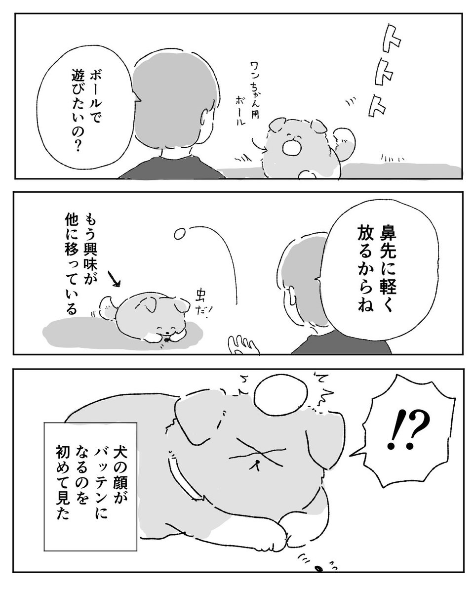 koguma_kanoko's tweet photo. 犬との思い出漫画再掲です。この時のことは私も反省しています。 https://t.co/uYa2WpP9iX