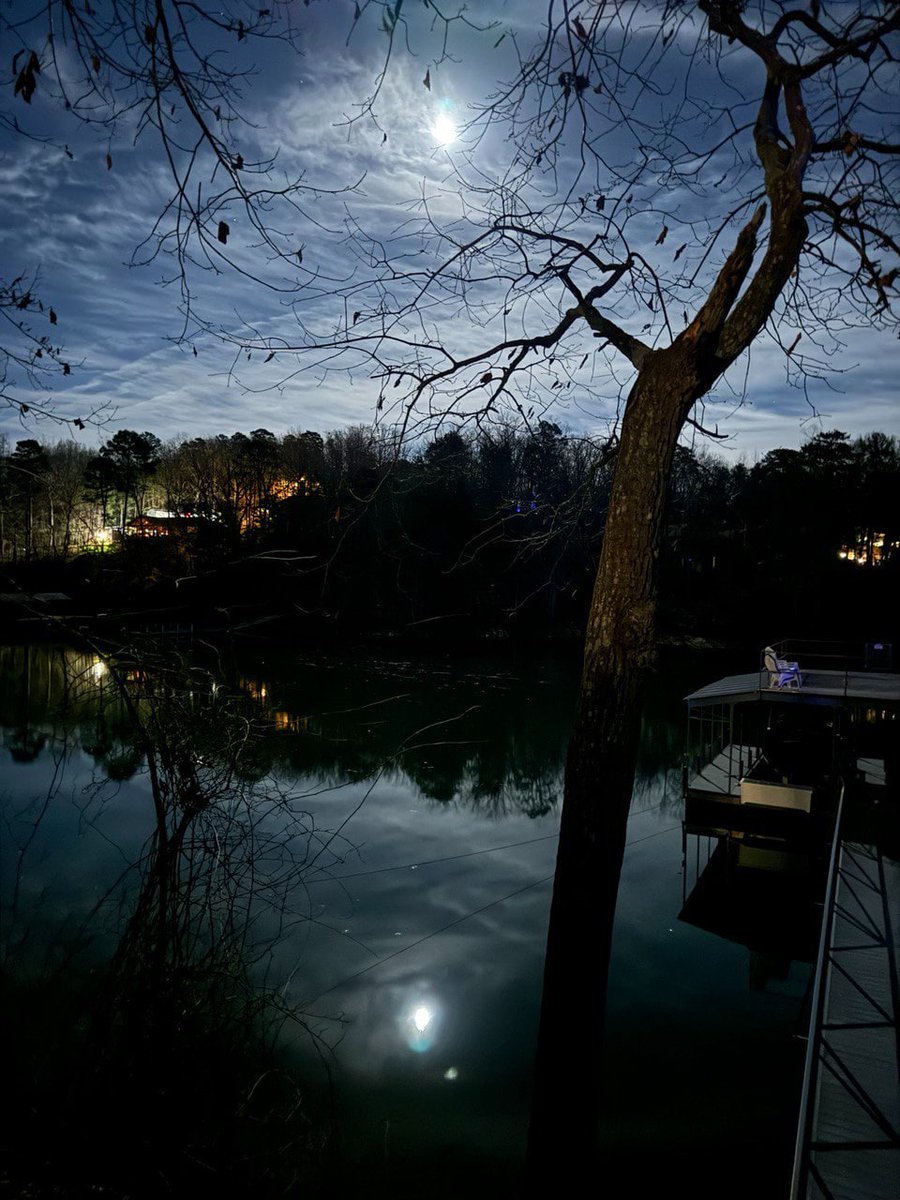zNick7's tweet photo. Moonlight over the Lotus Pond https://t.co/Yv3WX5sjxj