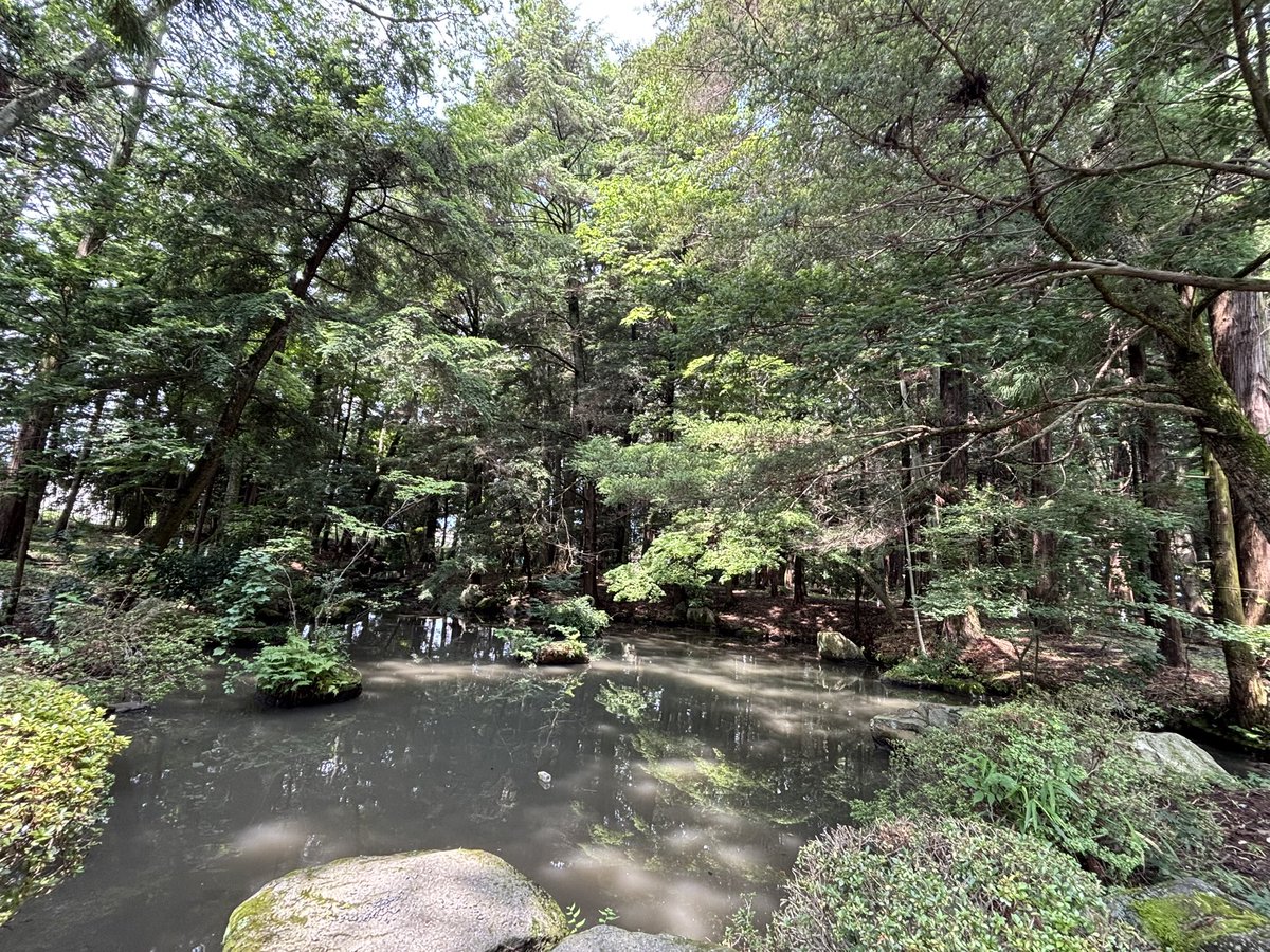 kuchiimama's tweet photo. 穂高神社に参拝⛩️
月替りの御朱印と今しかない御朱印をいただきました！
ありがとうございます😊

#穂高神社
#御朱印 https://t.co/gqW2FWY121