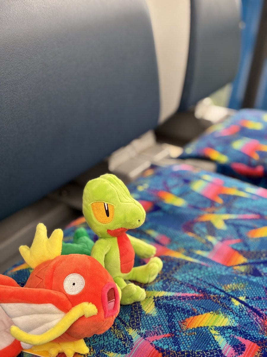 Subtle_Solitude's tweet photo. ぬい活でした https://t.co/oRNYXgUaOs