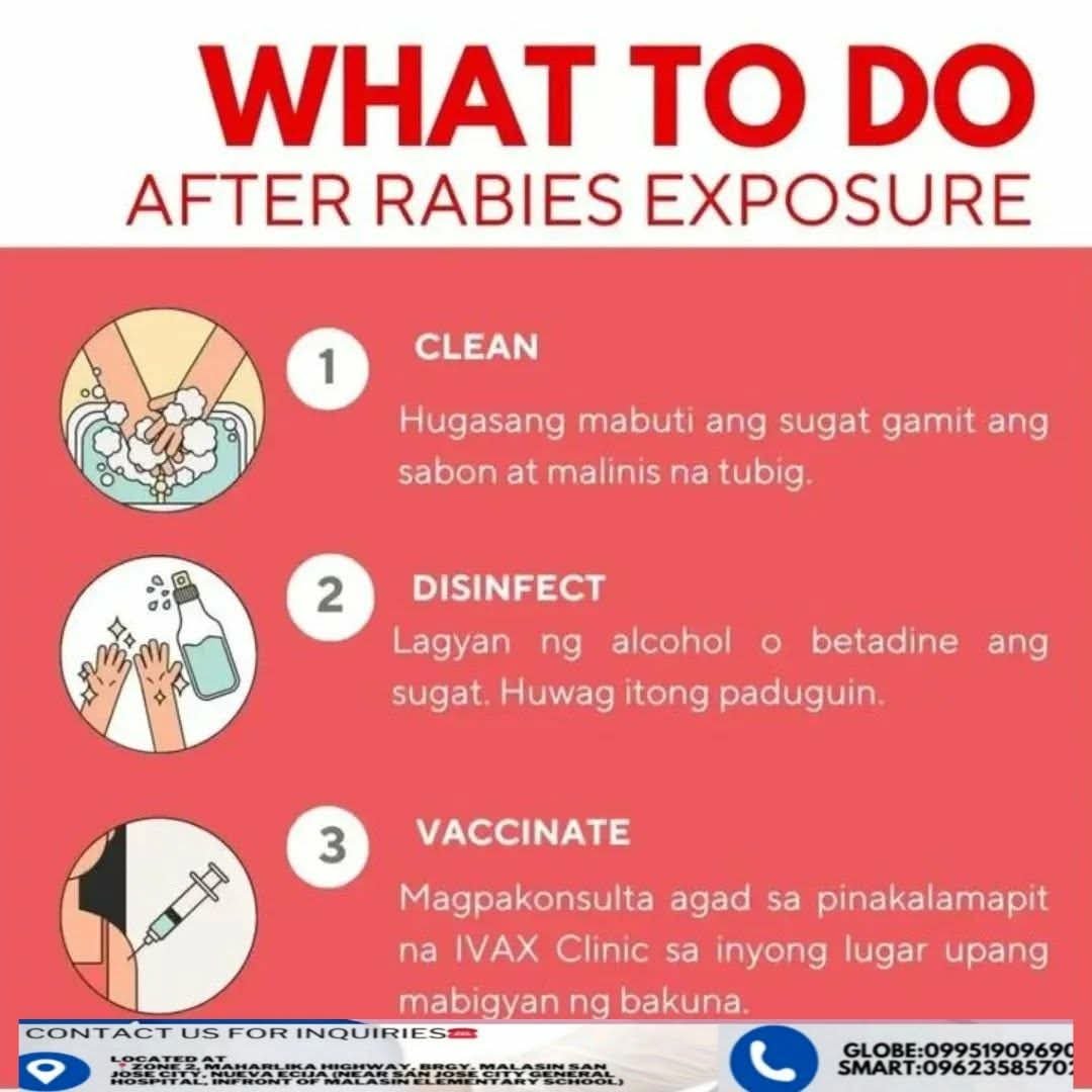 Ivaxsanjose's tweet photo. Open Daily:
 7:00 AM – 7:00 PM

✅ Trained Vaccinator for Animal Bite Treatment ✅ Affordable Prices 

📞 09951909690
      0962358702

#AlwaysOpenForYou #IVAXCares #YourHealthOurMission
#IvaxSanJose https://t.co/2QD77fuDdk